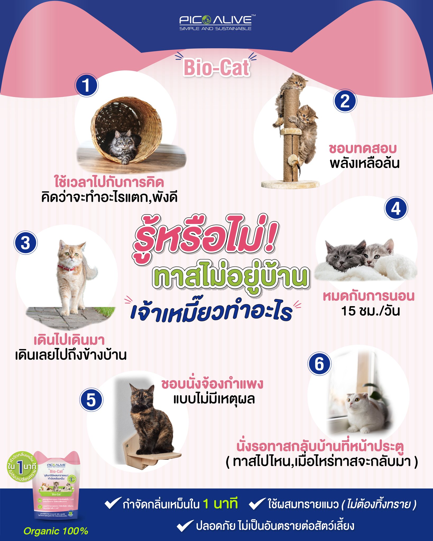 Pico Live - รู้หรือไม่! ทาสไม่อยู่บ้าน... | Facebook