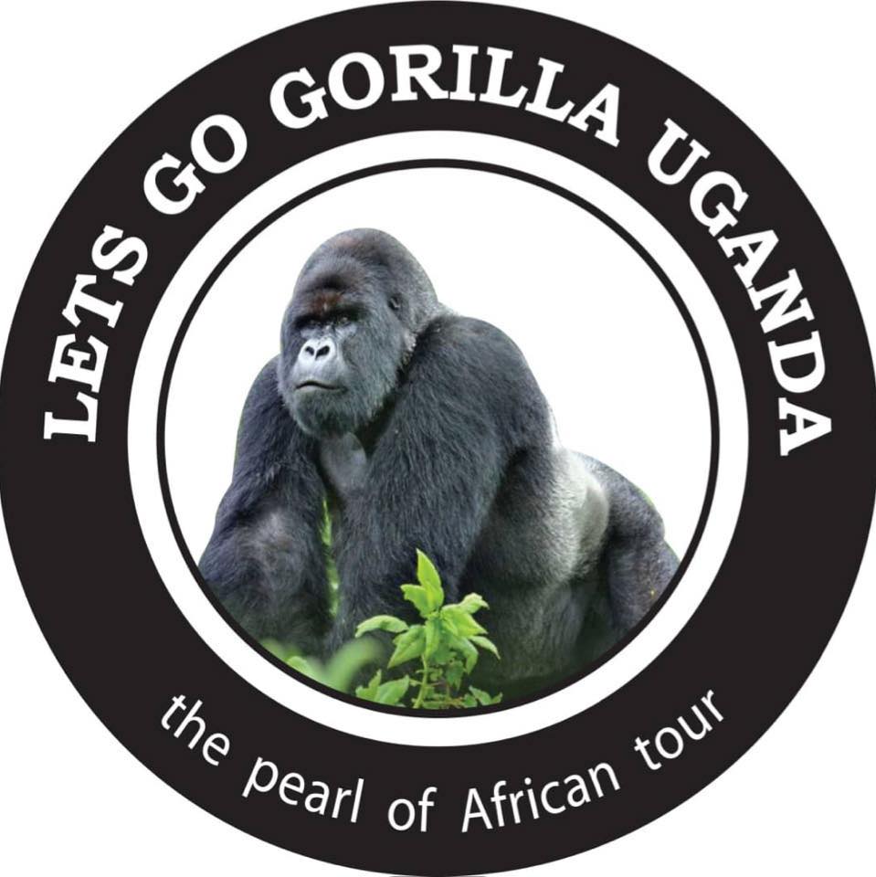 Let's Go Gorilla added a new photo — in... - Let's Go Gorilla