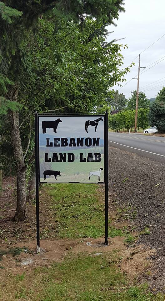 Lebanon FFA