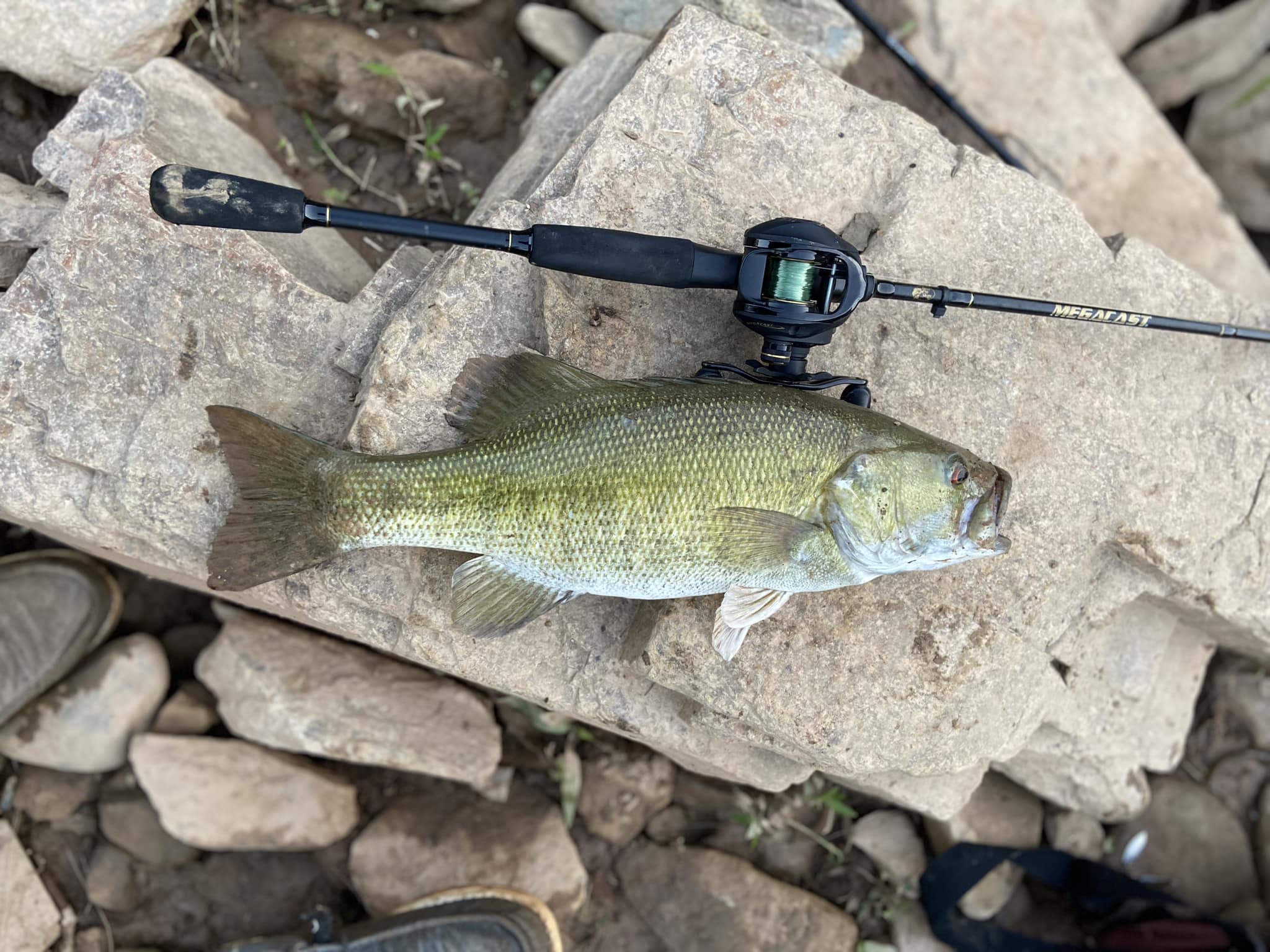 mandrels for shimano reels Mandrel Reels > TFO Protect provides high Setting up a Trout ROD MODELS:1002MH