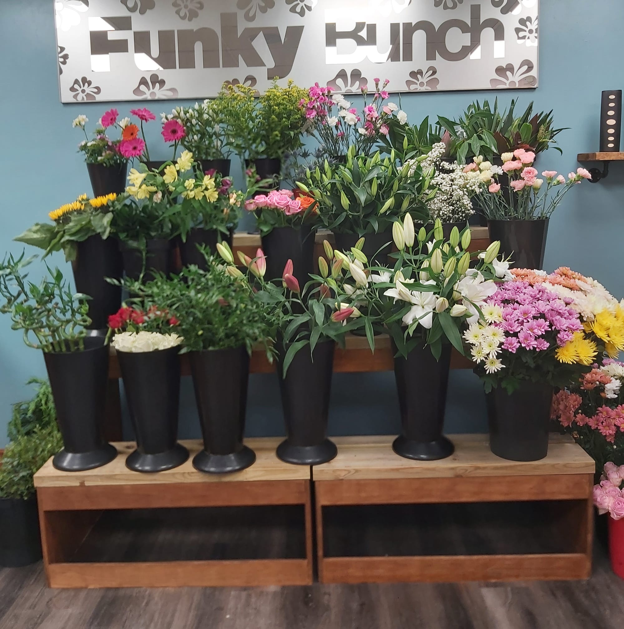 Funky Bunch - Funky Bunch updated their status. | Facebook