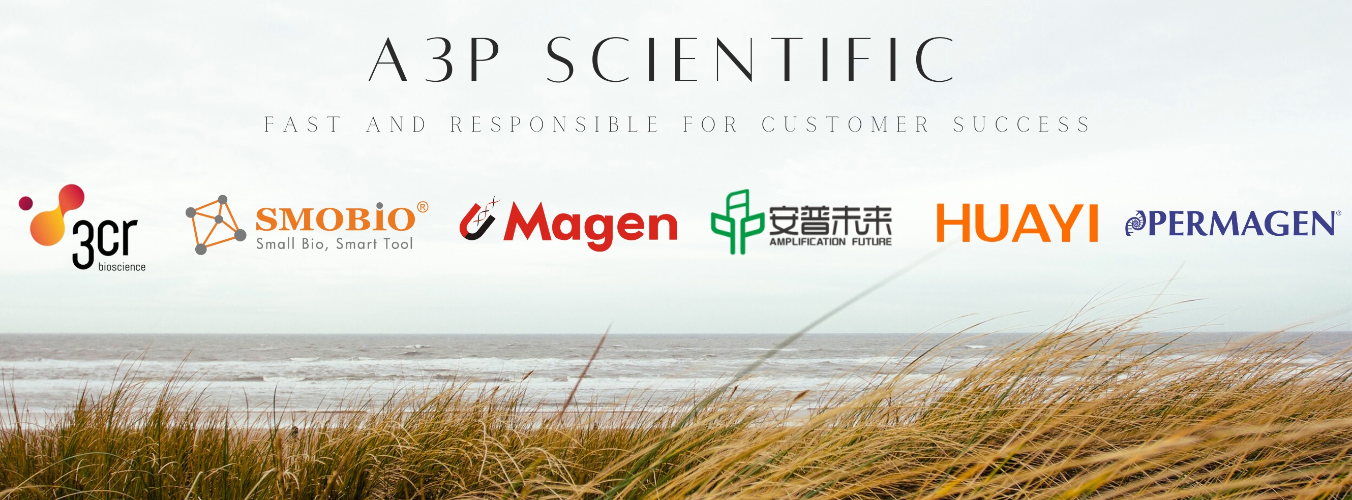 A3P Scientific | Bangkok