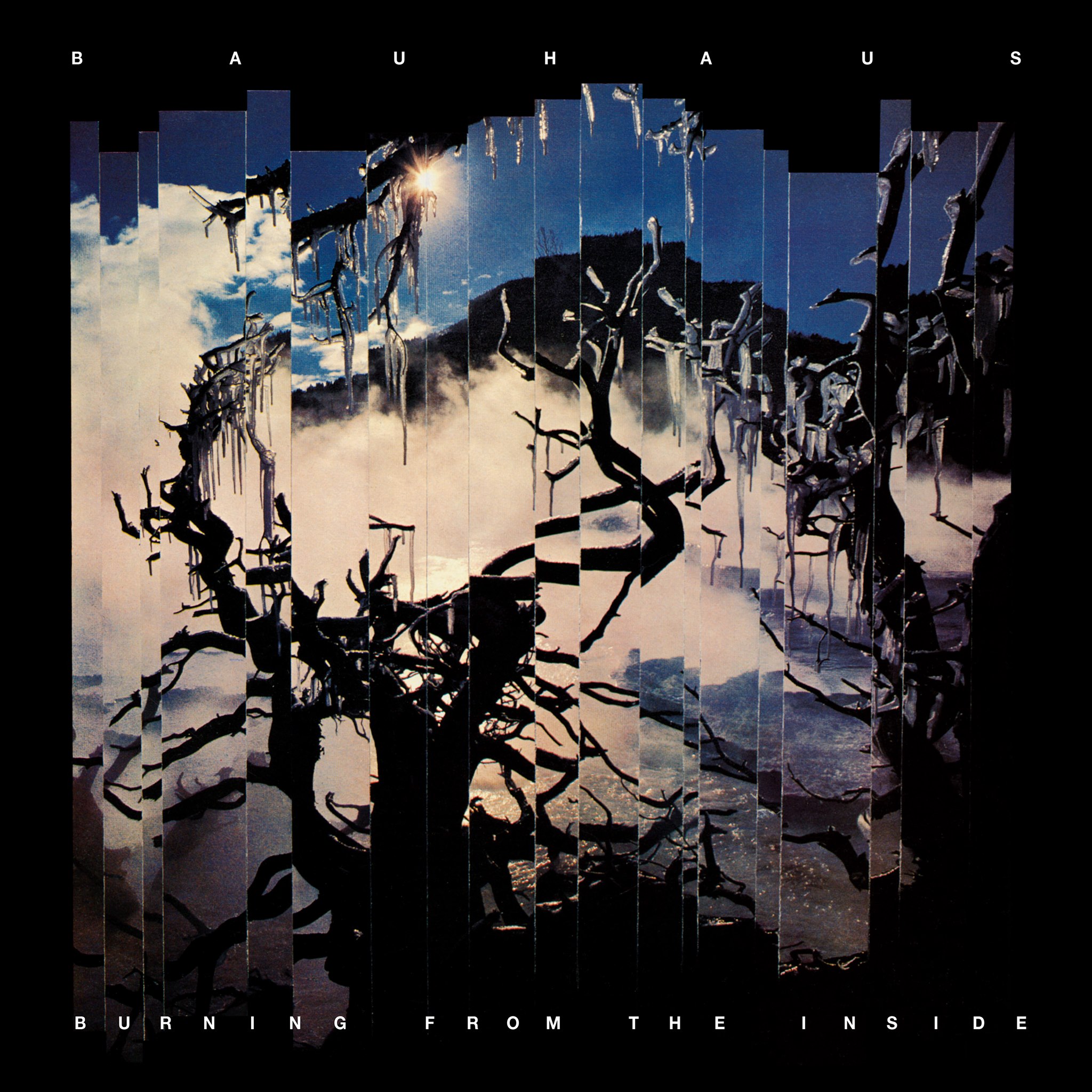 On this day in 1980, Bauhaus released their second single “Dark
