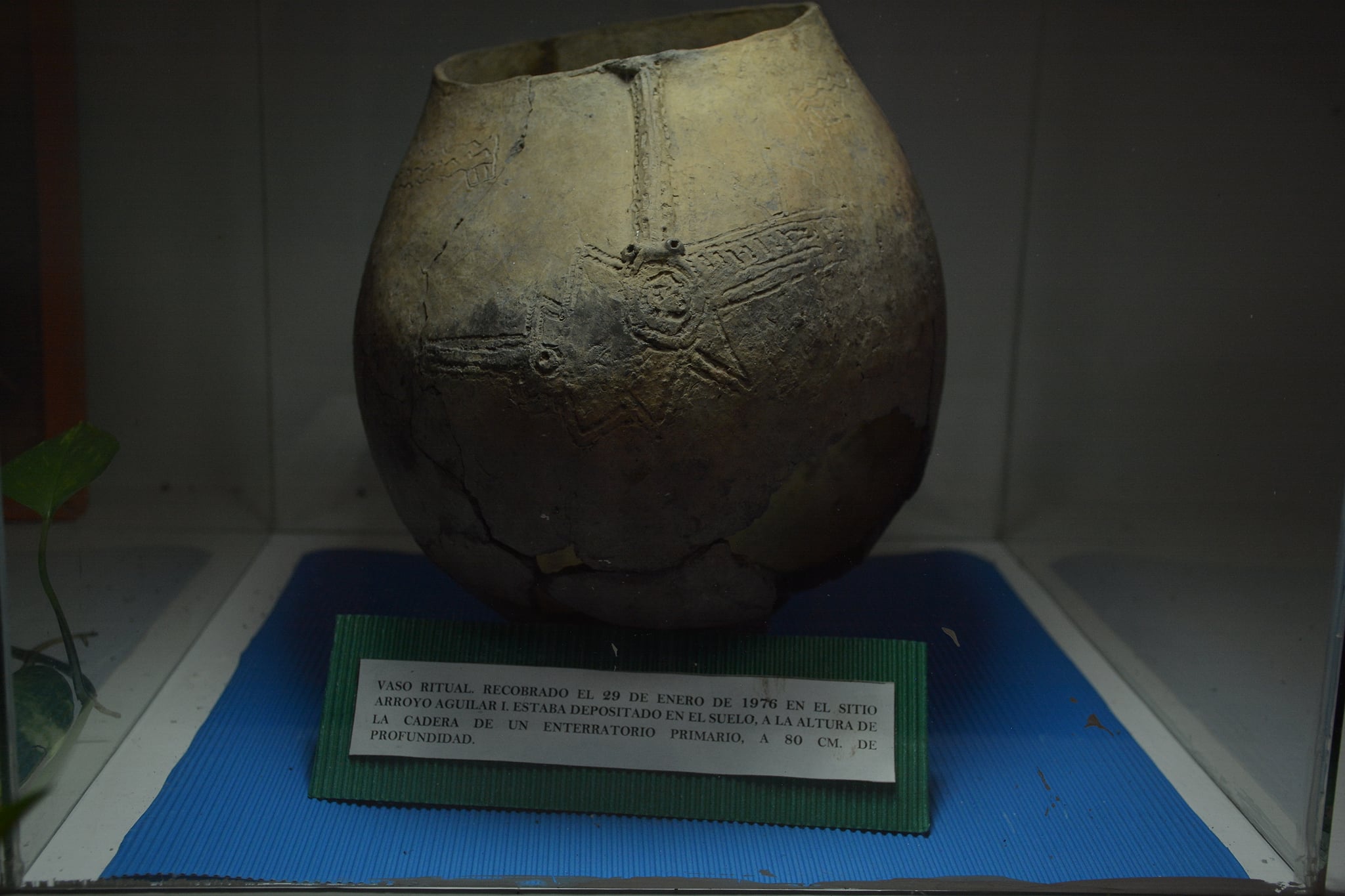 Museo de Arqueología... - Museo de Arqueología Carlos Gradin