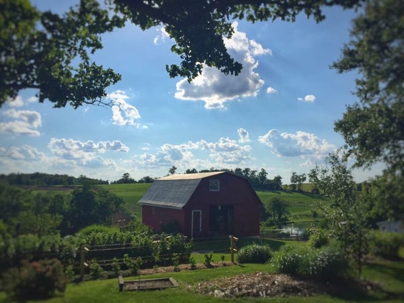 Northeast Spartans | Sunflower Valley Farm New Hampton NY Super | Facebook