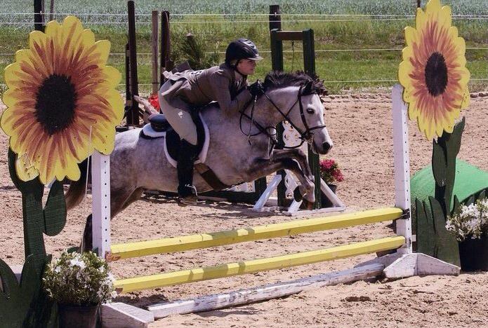 Ev-ry farm inc . | Mount Laurel NJ