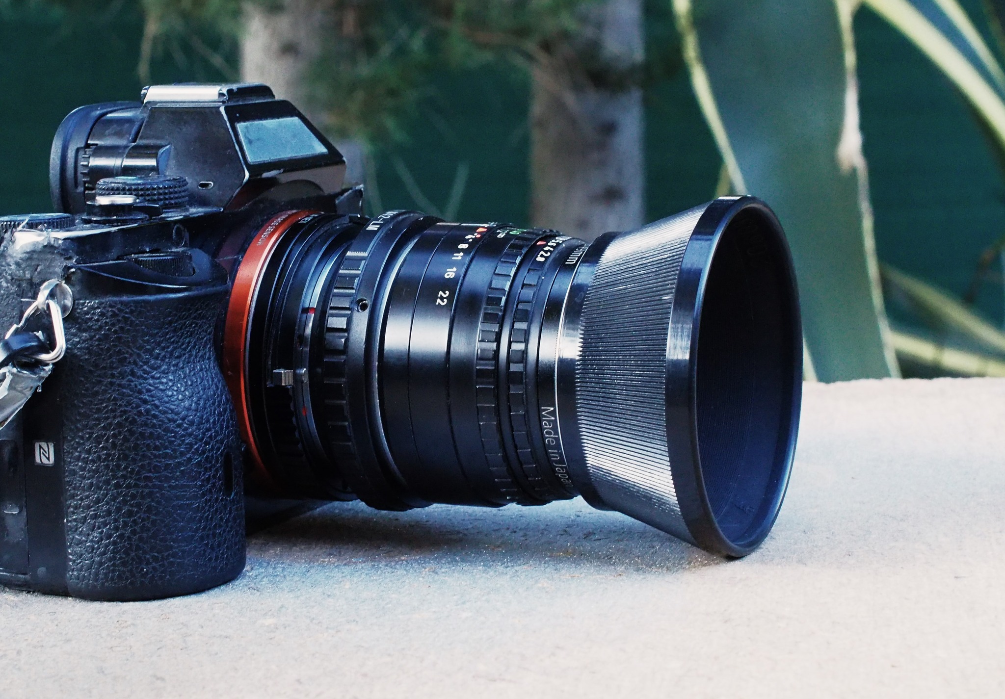 Domiplan 50mm f/2.8 adapted to Fujifilm-X
