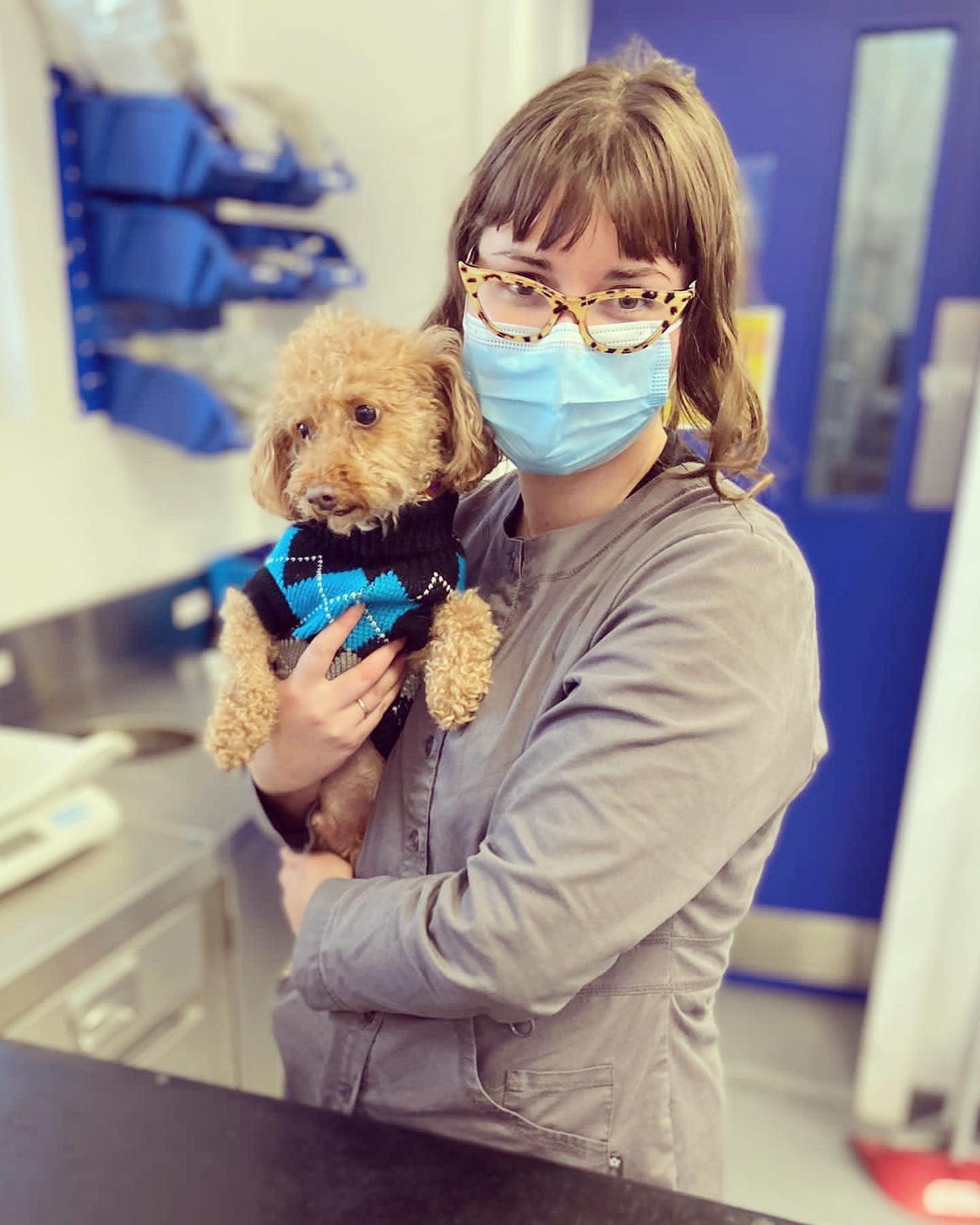 Meet Blake, a very special patient... - Faxbridge Veterinary | Facebook