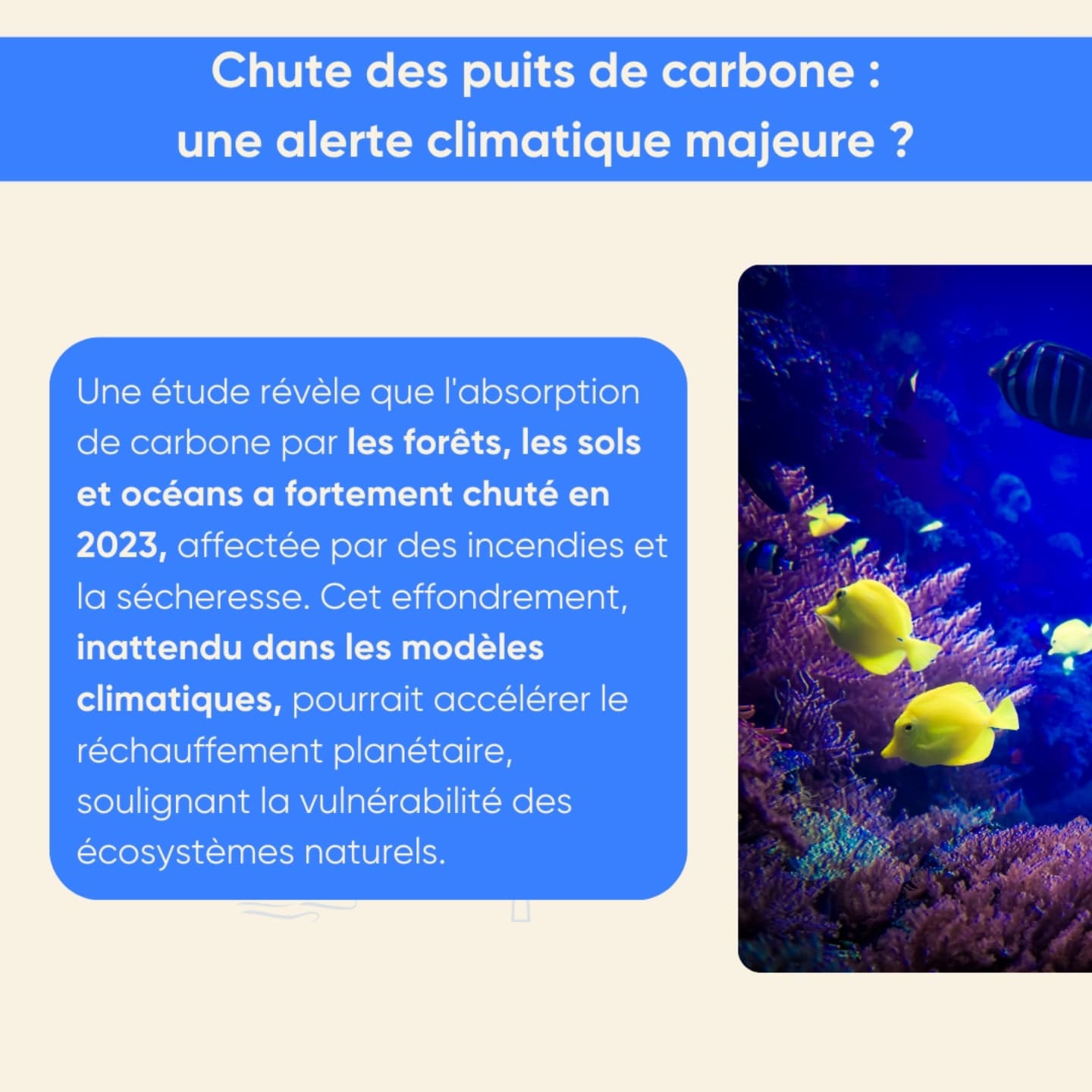 Association pour la transition Bas Carbone - ABC | Paris