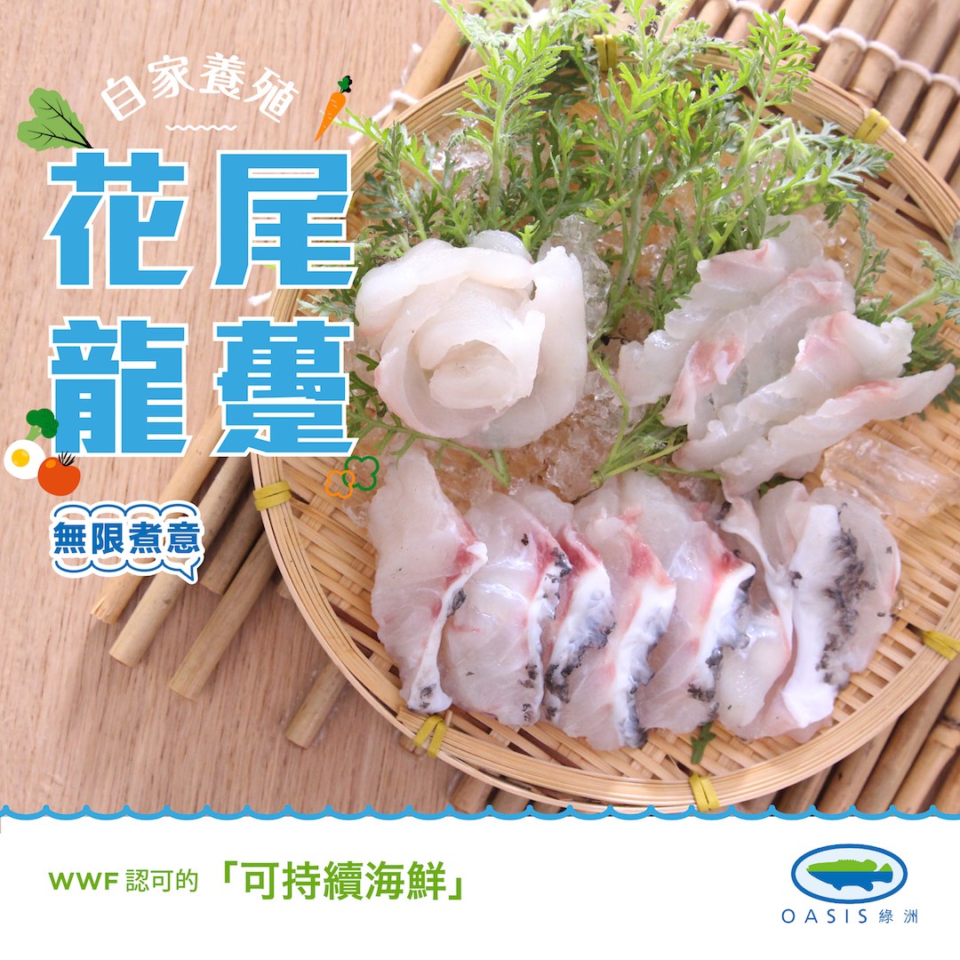 無限煮意 】 一條靚嘅 #花尾龍躉... - Oasis Giant Grouper 綠洲龍躉 (ATA)