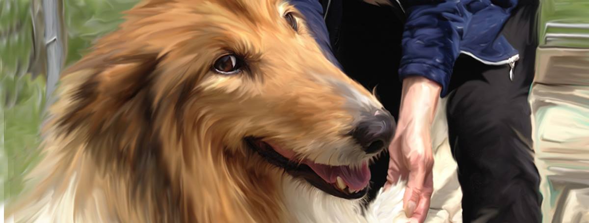i pet paintings