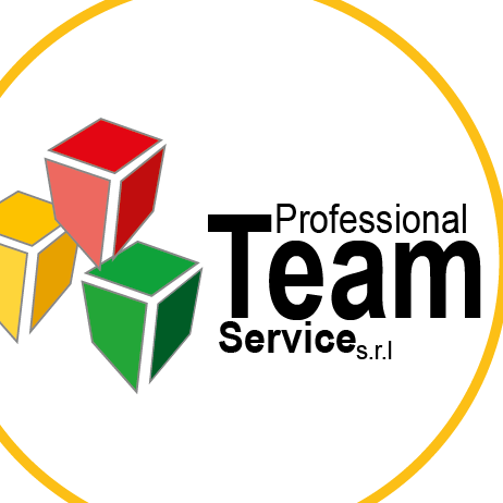 Professional Team Service... - Professional Team Service SRL
