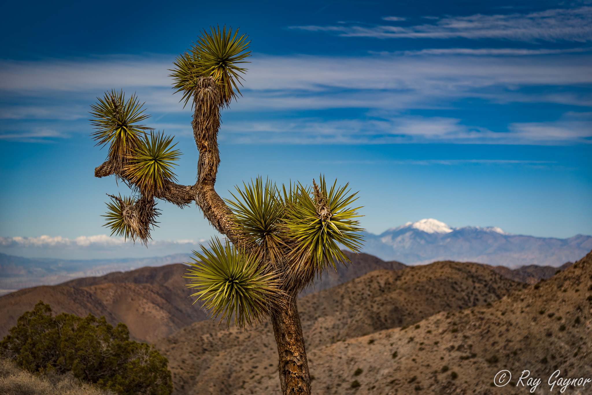 Keys View, Joshua Tree National Park