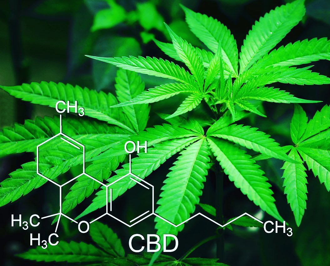 Lone Star Naturals - Recent report by the World Health Organization ...