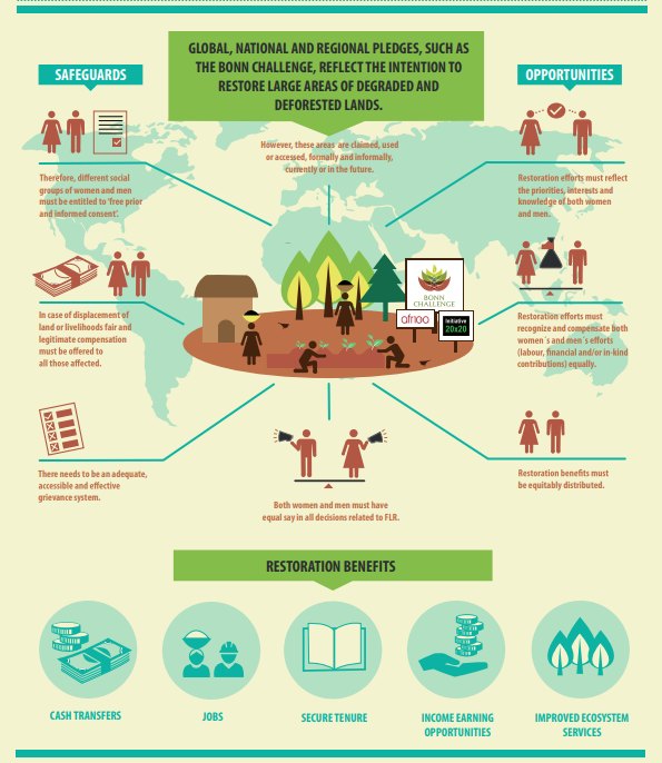 CIFOR-ICRAF - 📑 Gender Matters in Forest Landscape Restoration (FLR ...