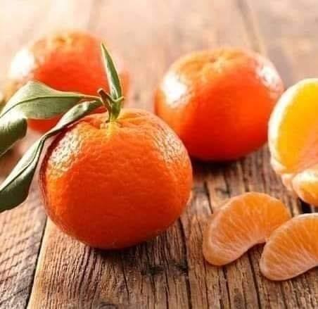 غلال أمين - 🍉🍉🍈 | Facebook