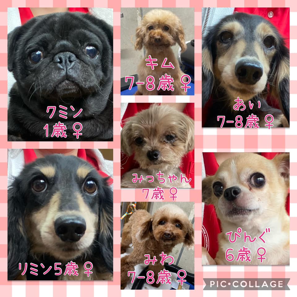 千葉ニュータウン Explore Facebook