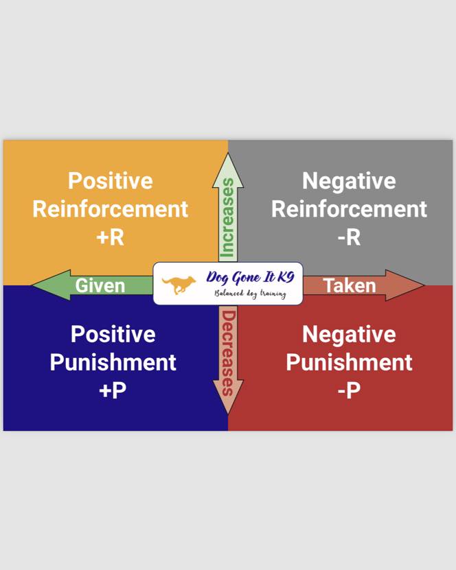 Dog Gone It K9 - 🐾 Effective Dog Training with Operant...