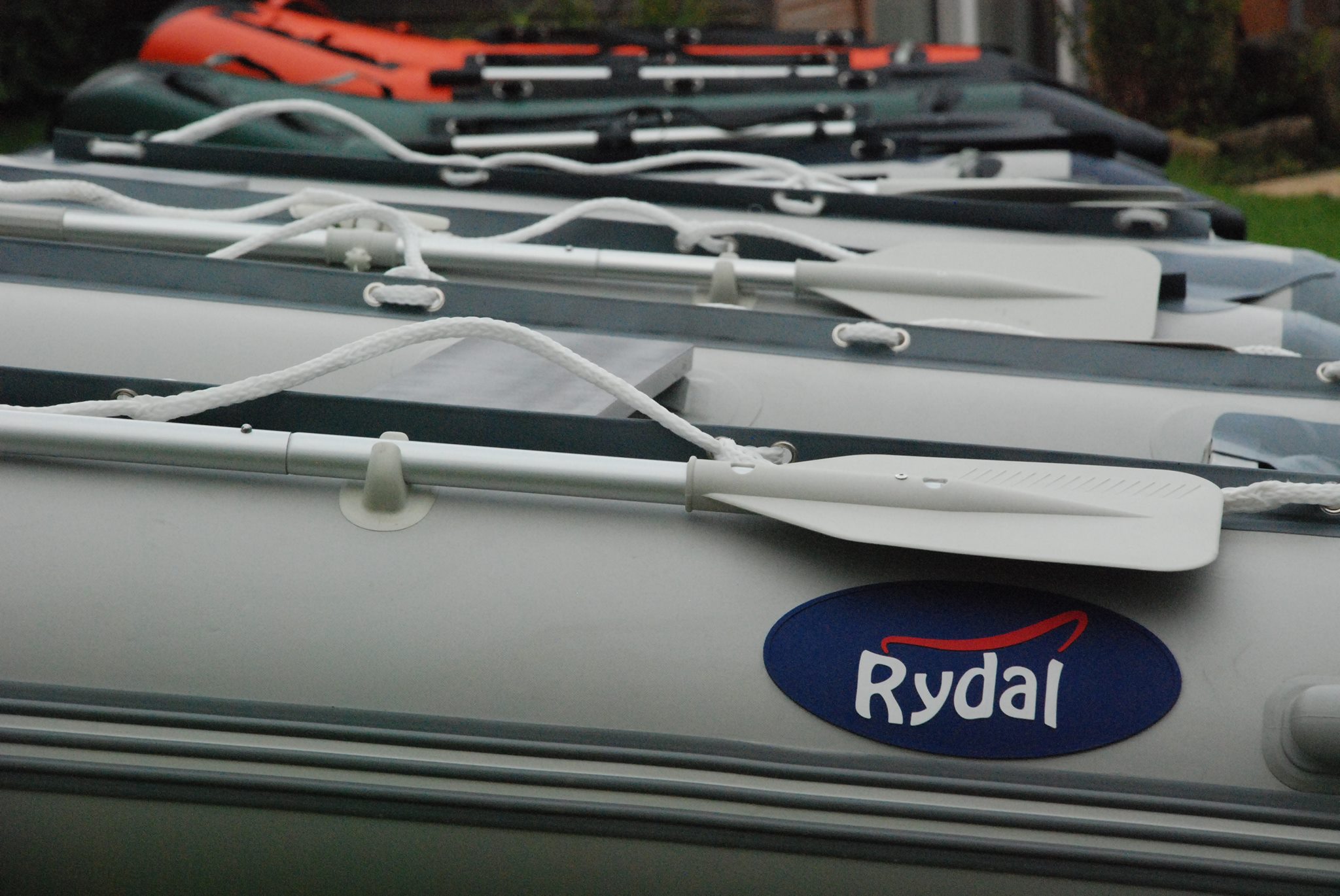 Rydal Ribs | Carlisle