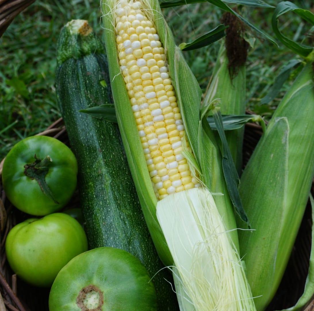 Slade's Sweet Corn