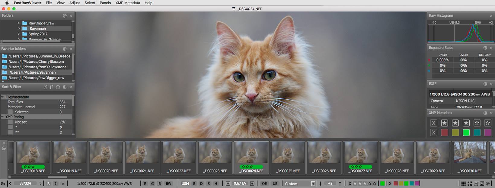 FastRawViewer