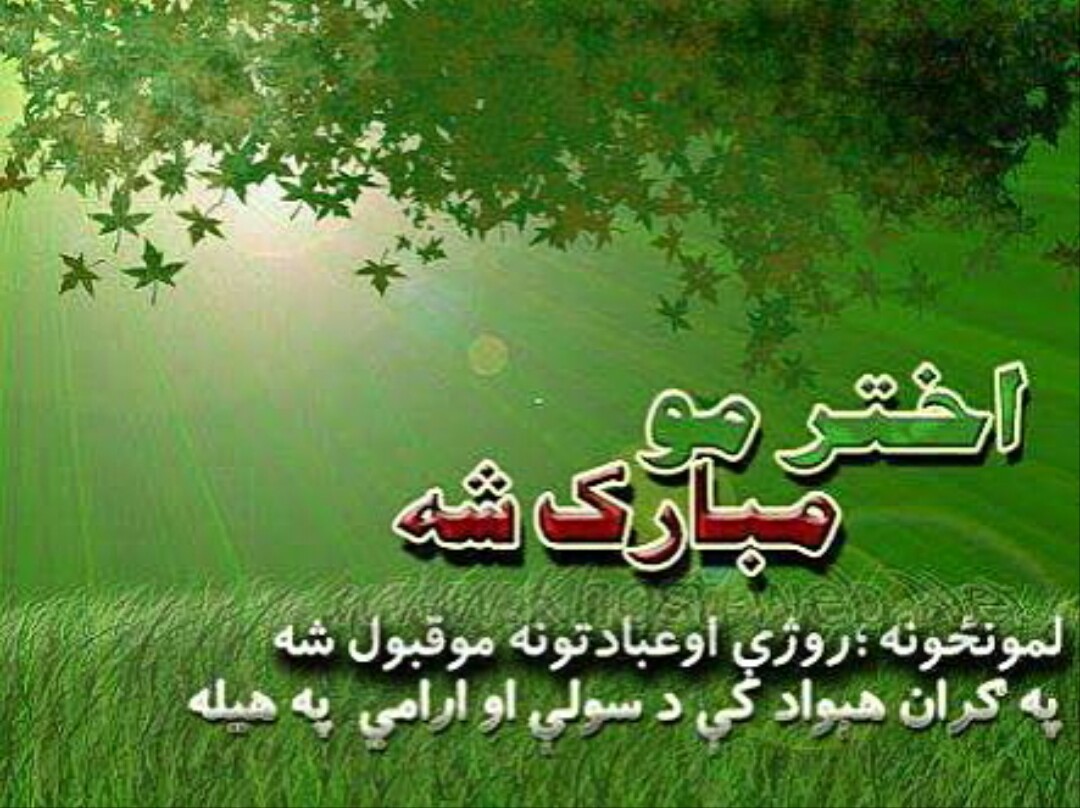 شرکت ترانسپورتی وردگ بابا