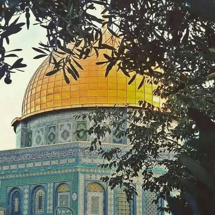 انجاز نت لتكنولوجيا المعلومات Home Facebook