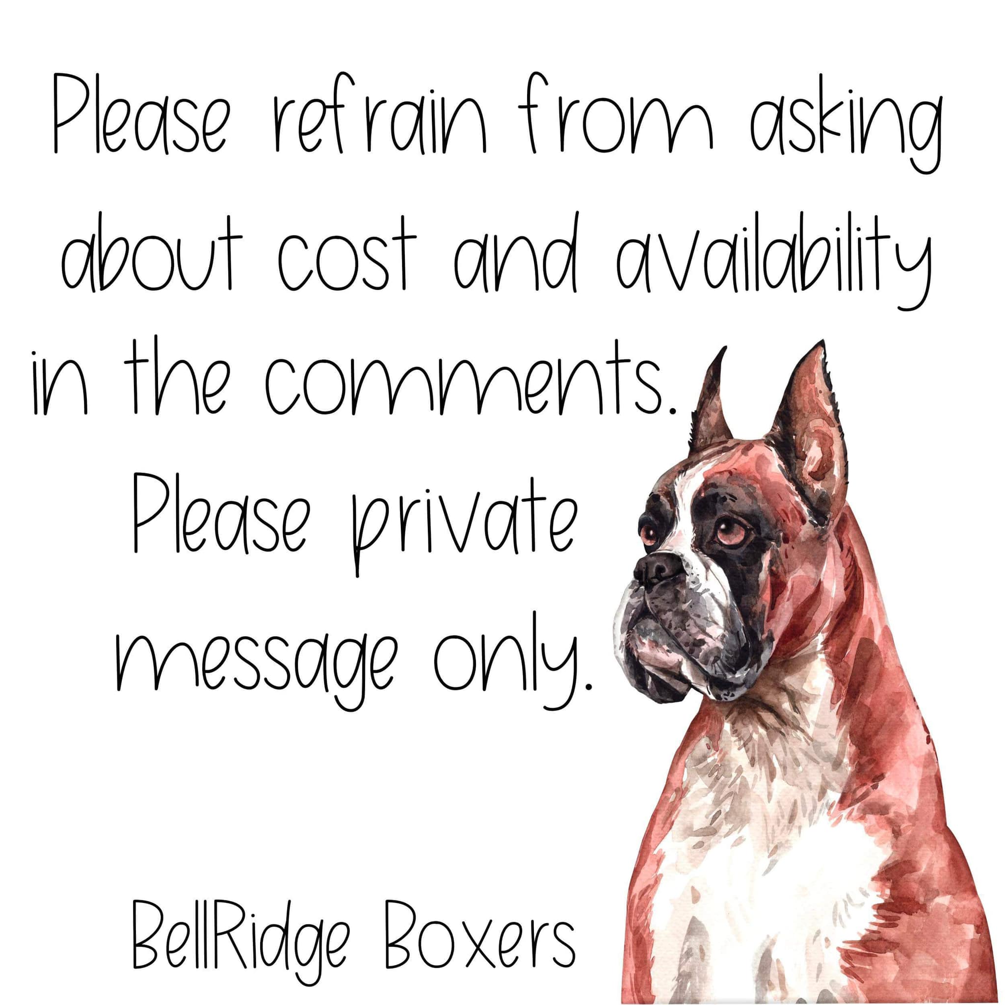 BellRidge Boxers