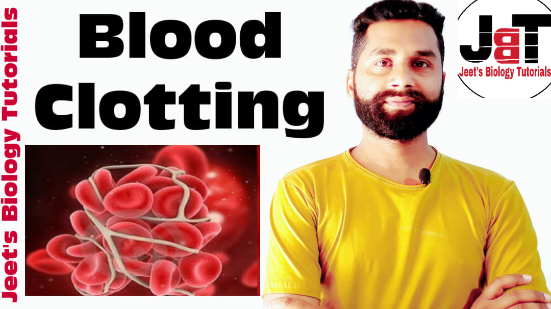 Jeet's Biology Tutorials