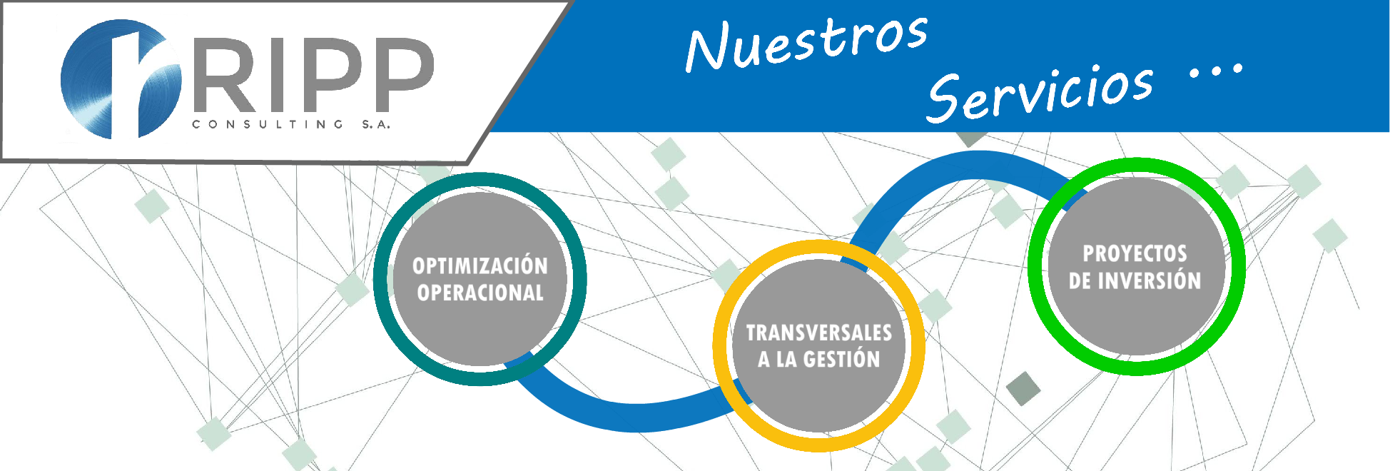 Ripp Consulting S.A. | Las Condes