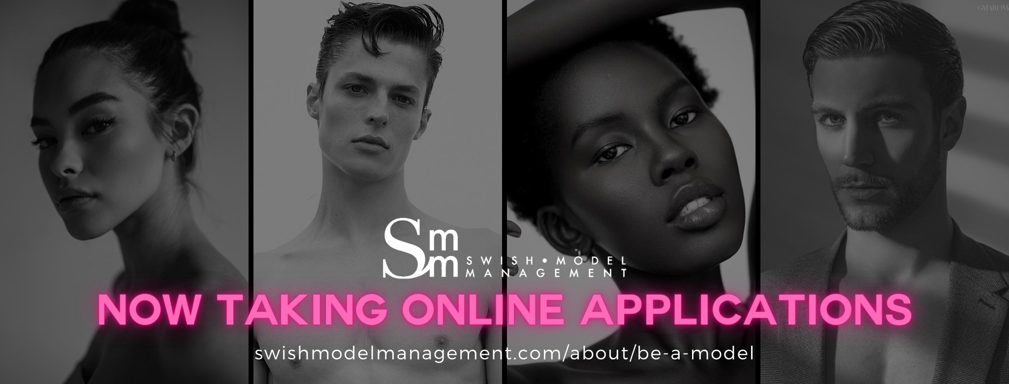Swish Model Management
