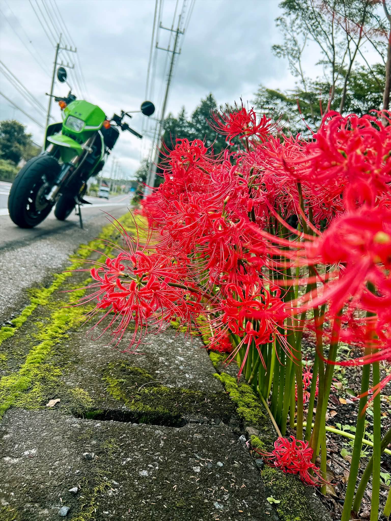 高倉健・最後の作品【あなたへ】のロケ地 長崎県平戸・薄香漁港が舞台