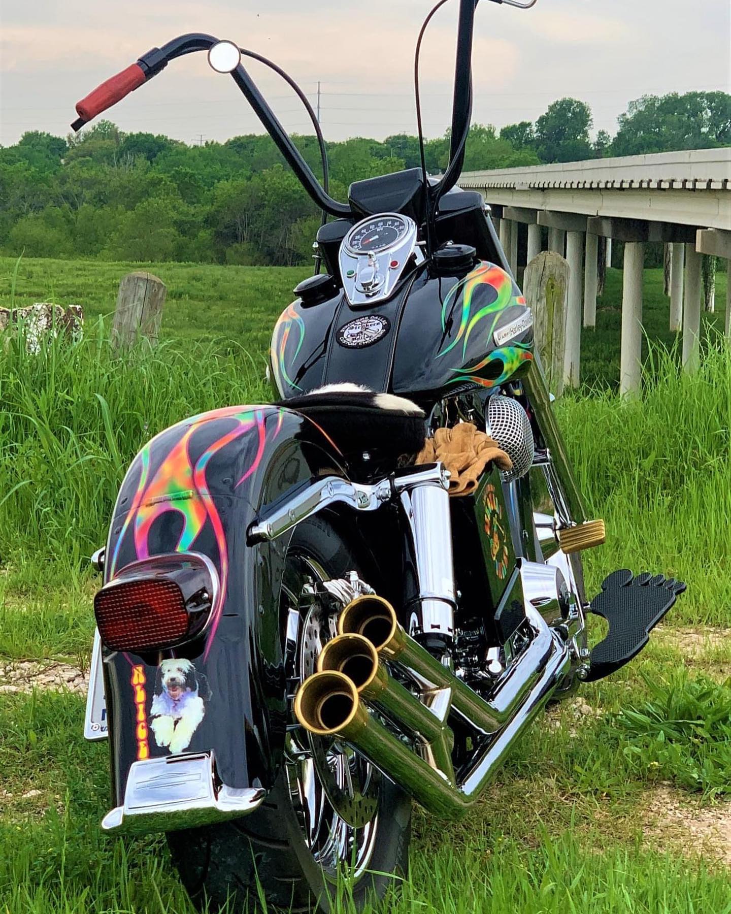 Alice, my favorite Harley Davidson on the planet! 1975 Shovelhead