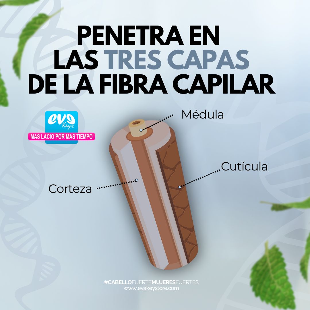 EvaKey - ¡Descubre el poder del Shampoo de Limpieza Profunda de Eve Key ...
