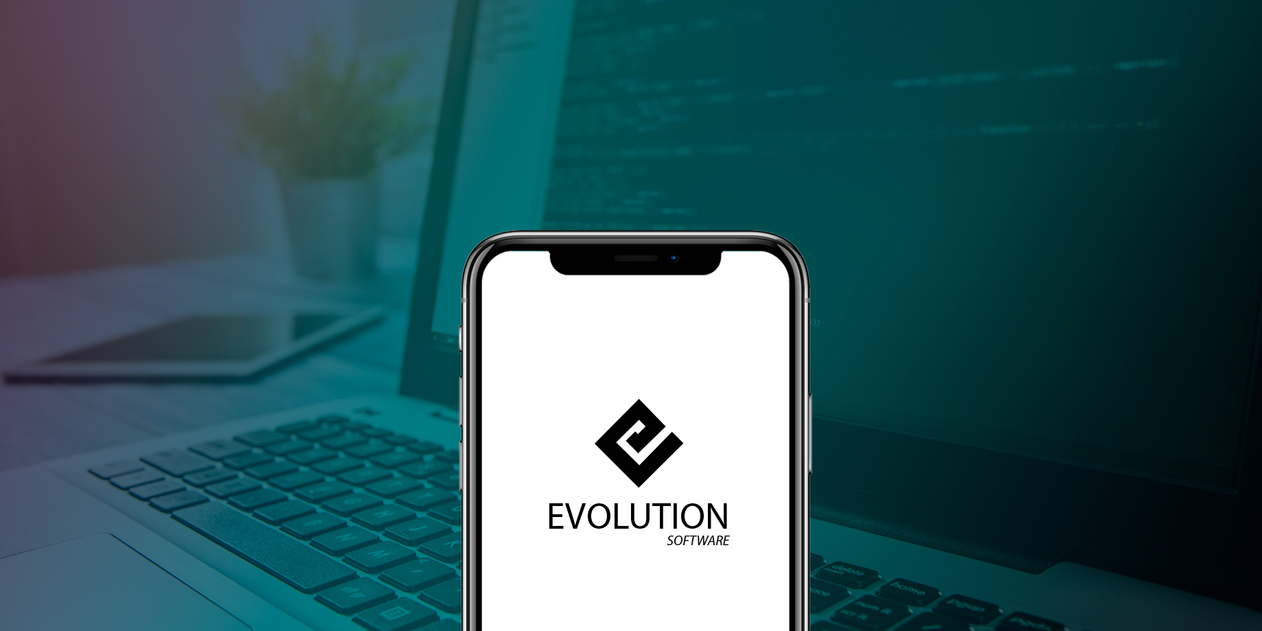 Evolution Software