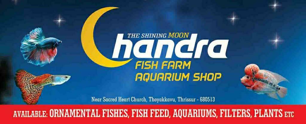 Chandra fish farm