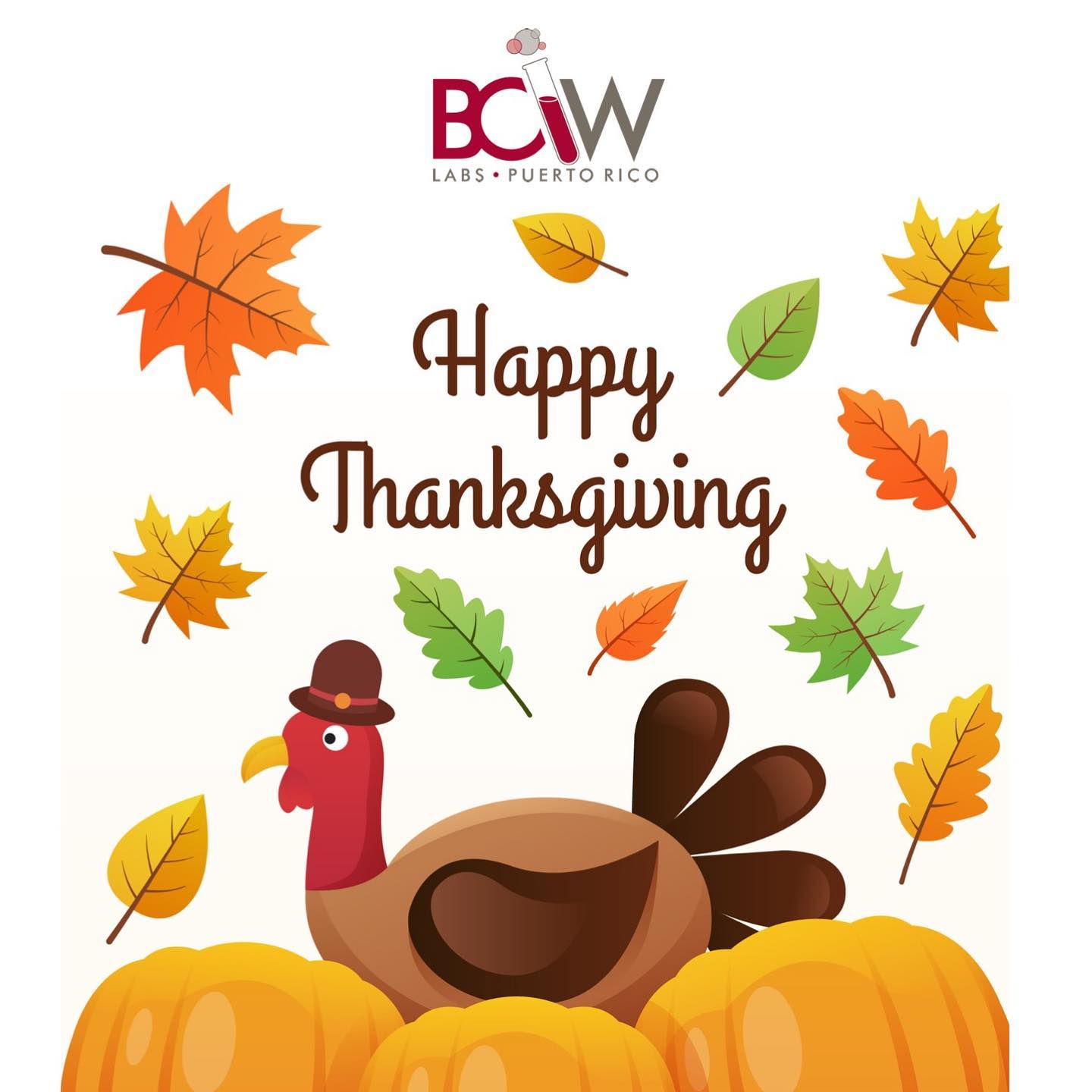 BCW Puerto Rico | Catano
