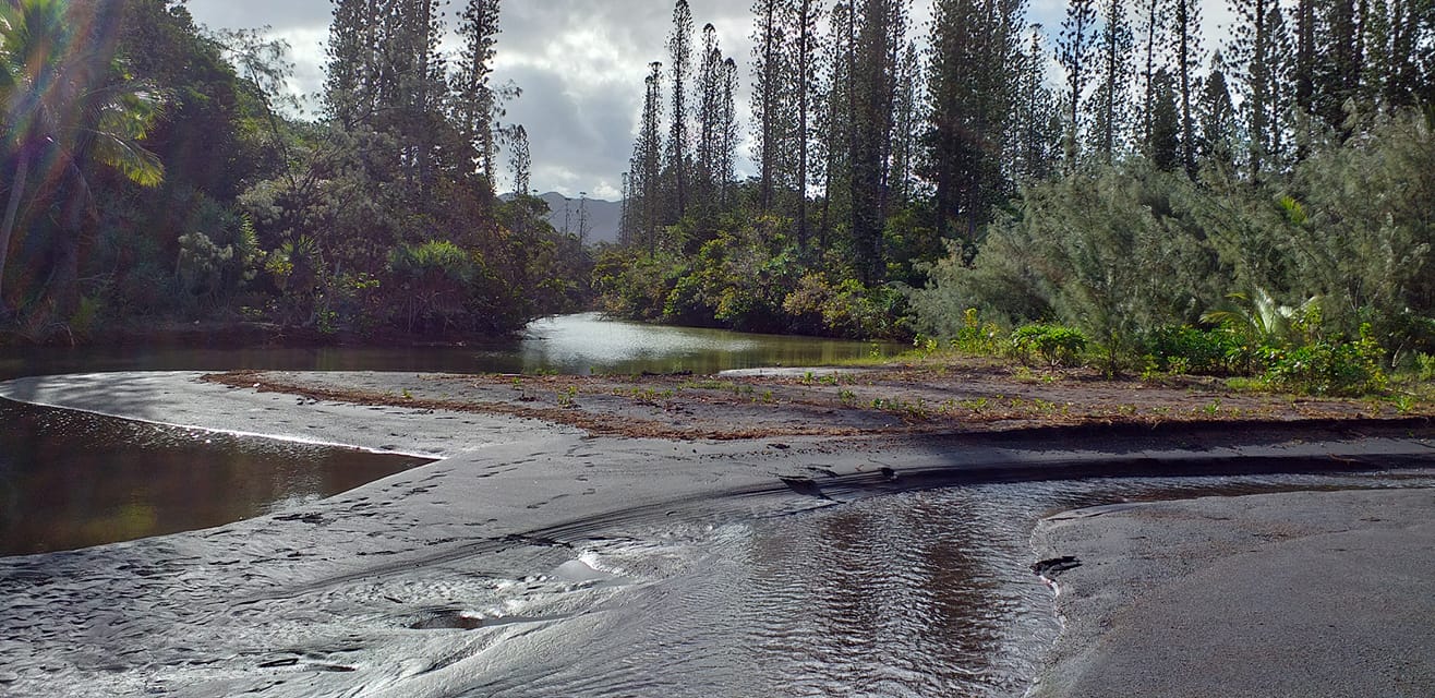Waupoos Island Camp added a new... - Waupoos Island Camp