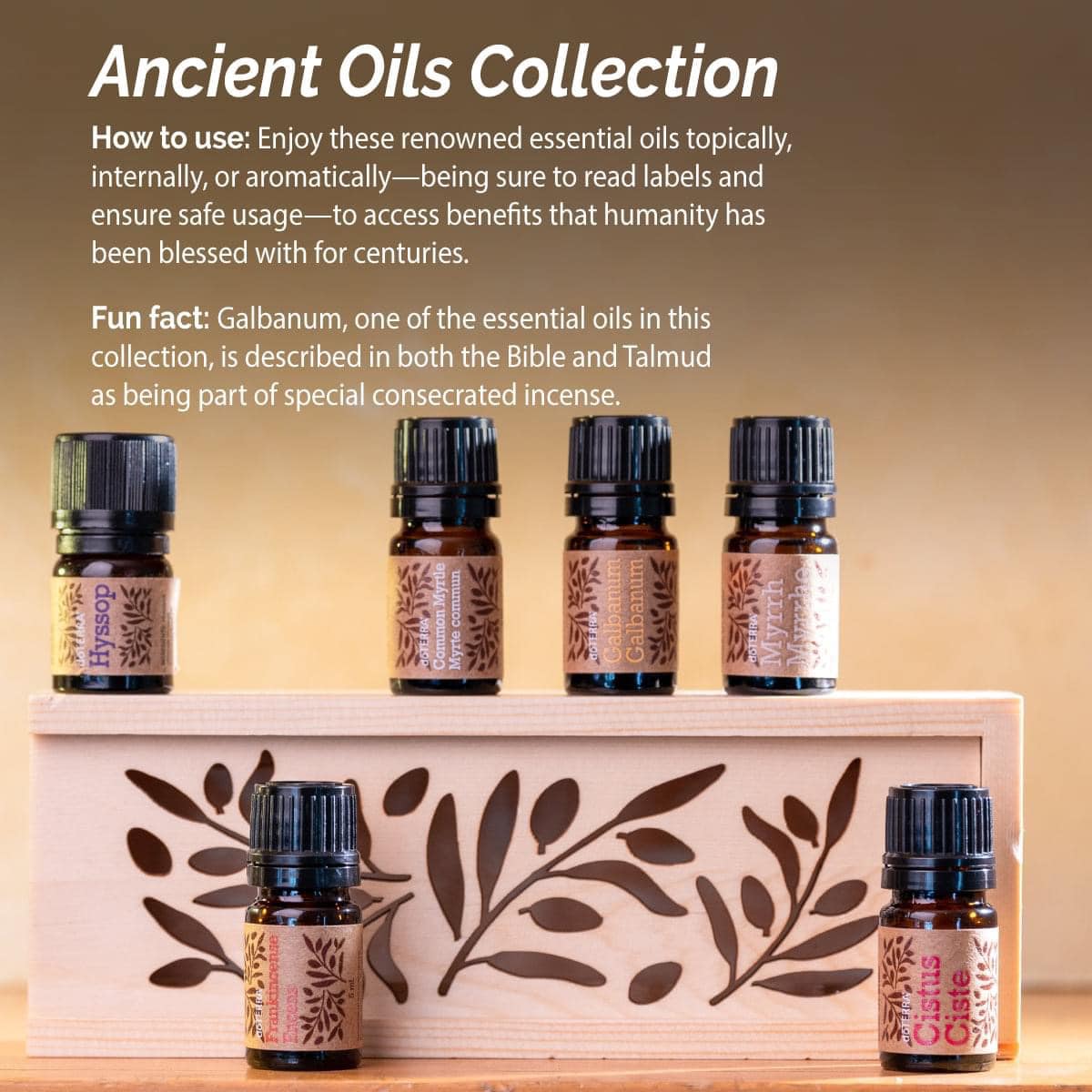 ドテラdoTERRAのANCIENT OILS The Ancient Oils collection includes six essential oils used by