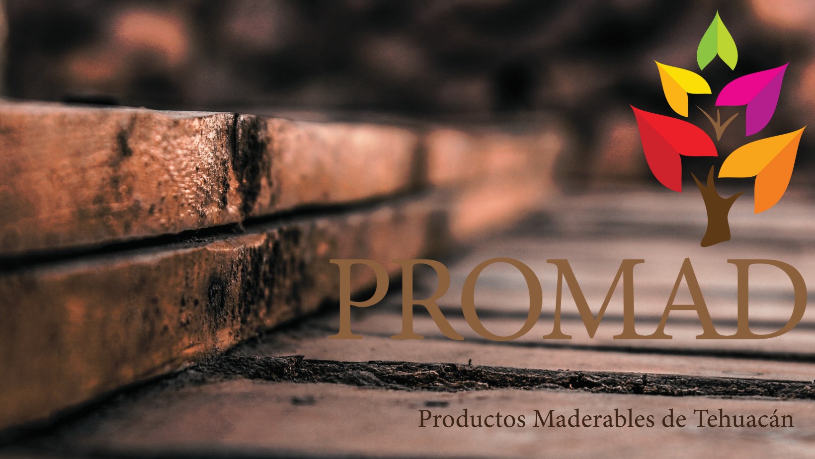 Promad Tehuacan