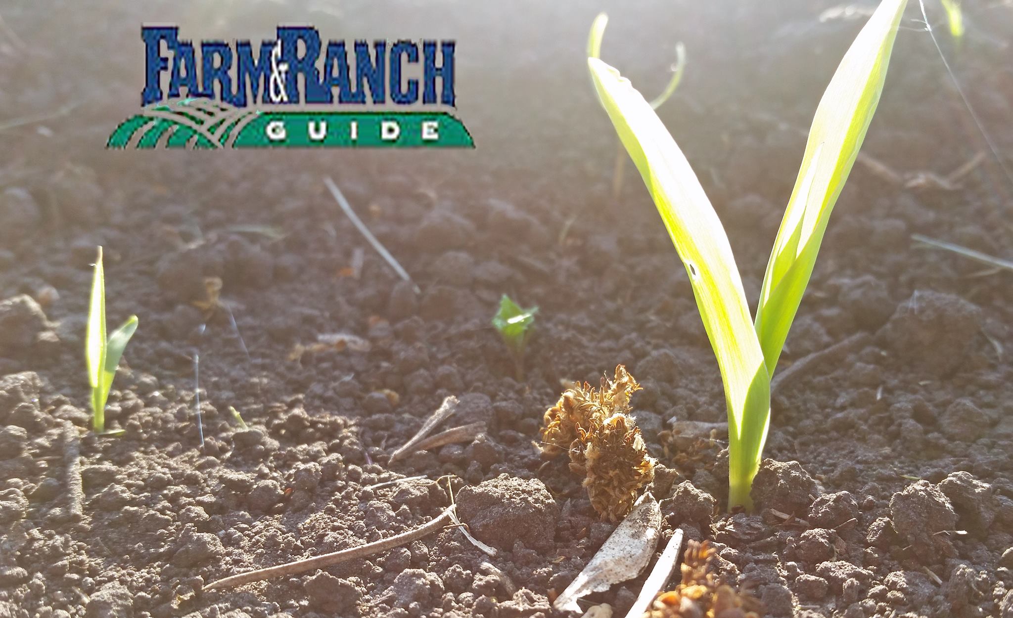Farm & Ranch Guide