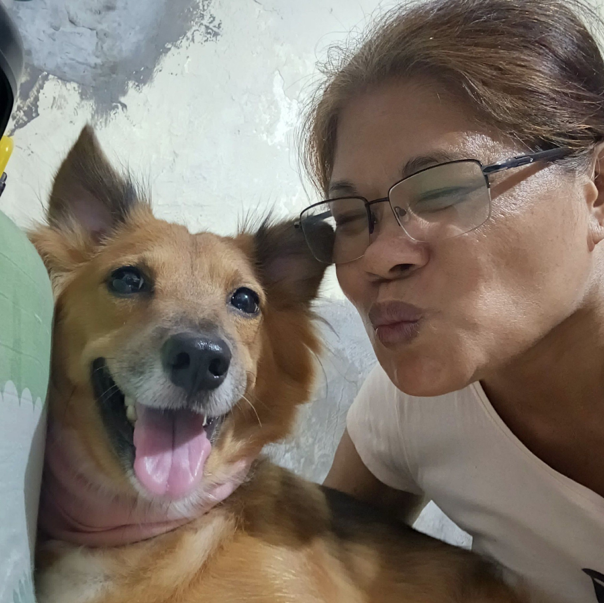 buti nalang na train ni cookie bago nya kami iniwan may tiga bantay rin ...
