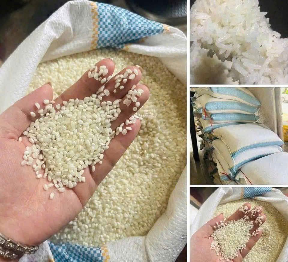 Gạo Himawari 8kg giá rẻ tại Yamada Nagoya