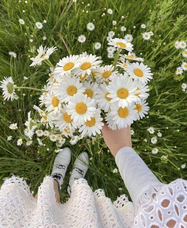 AyRa Islam Nadiya (@shorna.jaant) • Facebook, Connect with friends