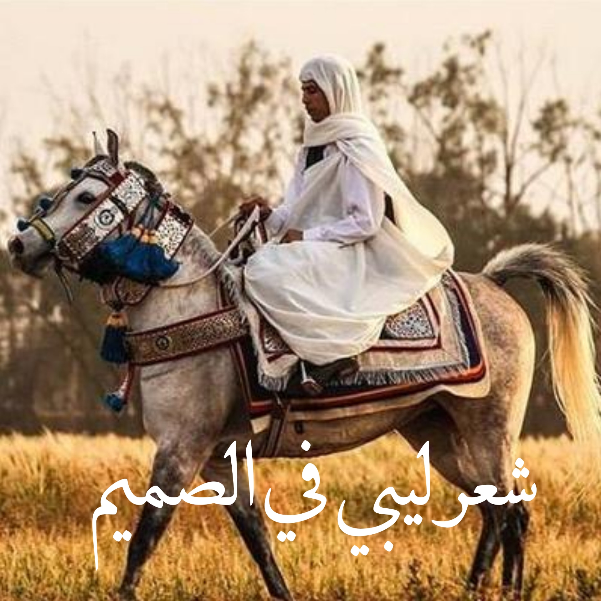 شعر ليبي في الصميم