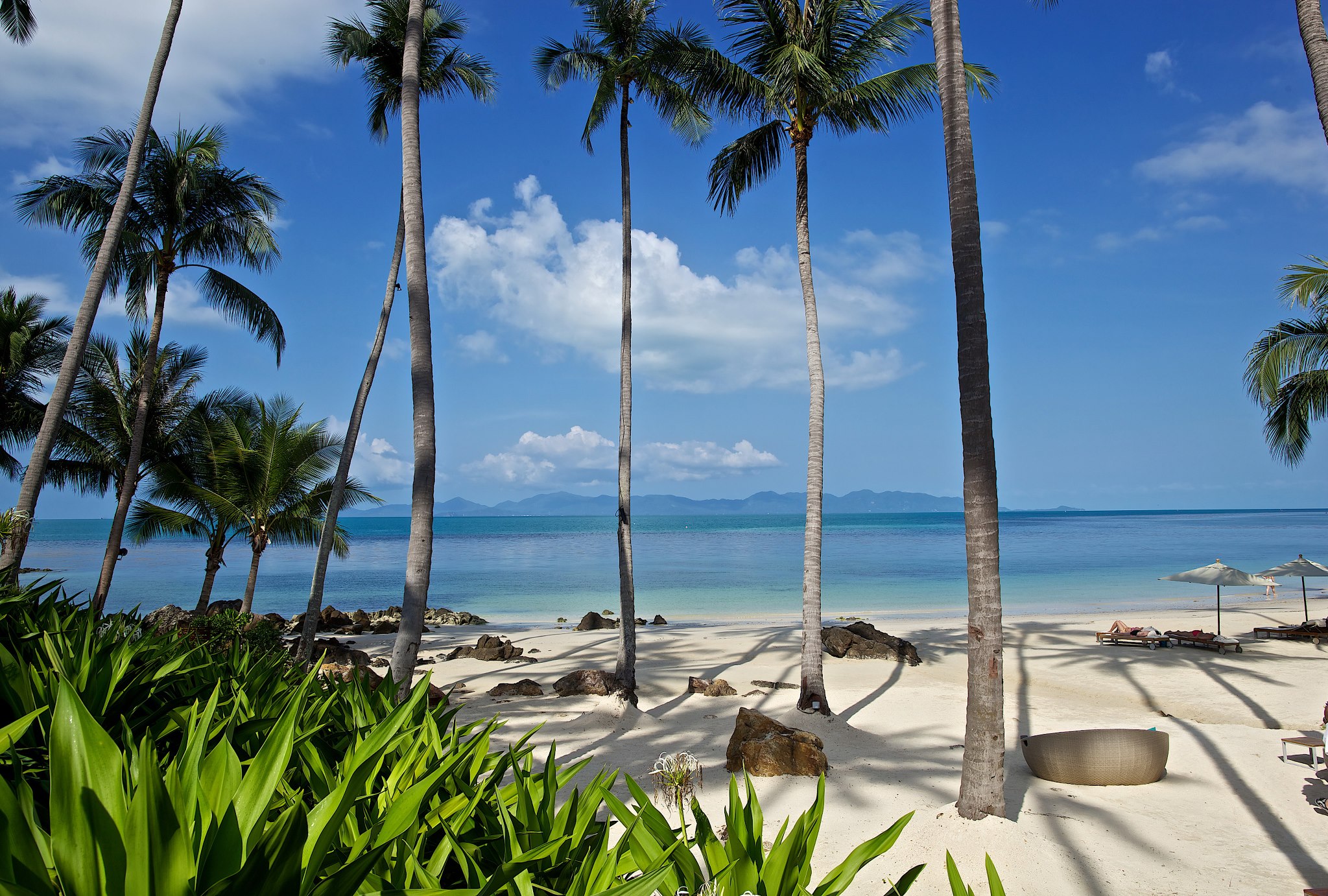 The Sea Samui Vacation Residences, Centara Boutique Collection added a ...