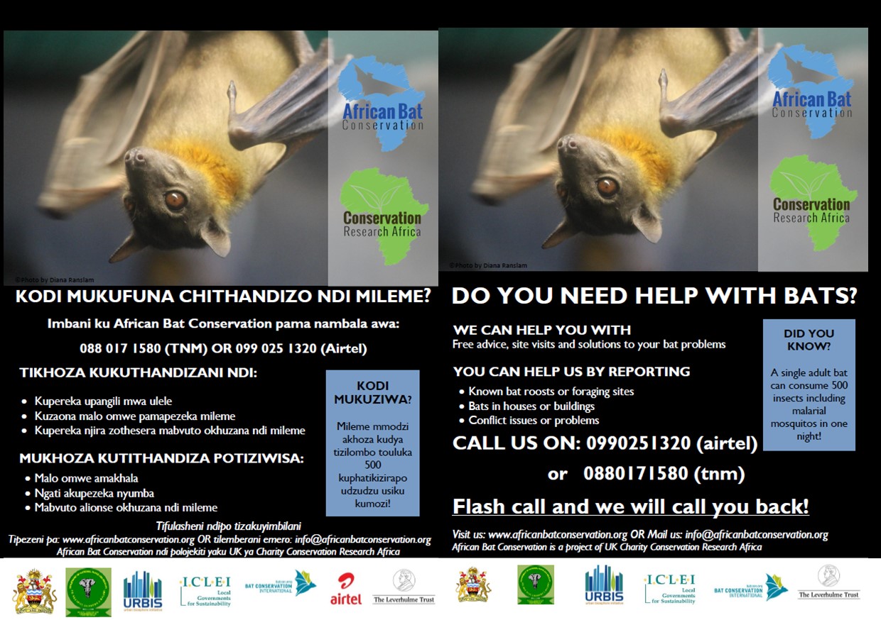 🦇African Bat Conservation has... - African Bat Conservation