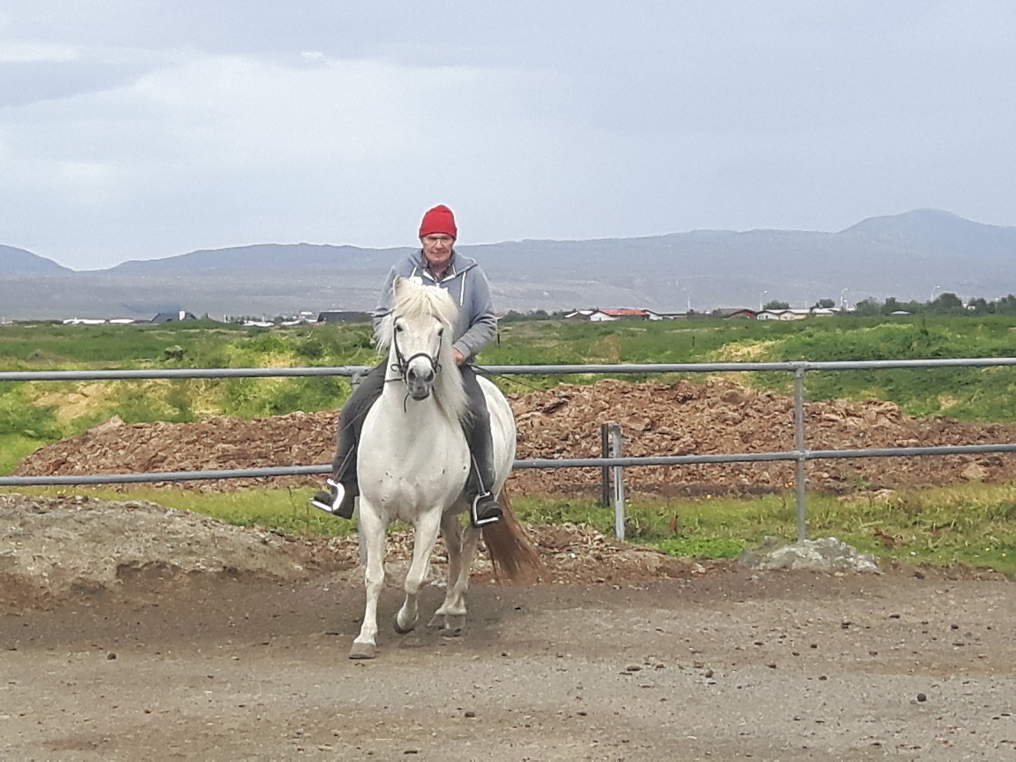 Riding... - Riding Tours in Iceland - Reykjavík Riding Center