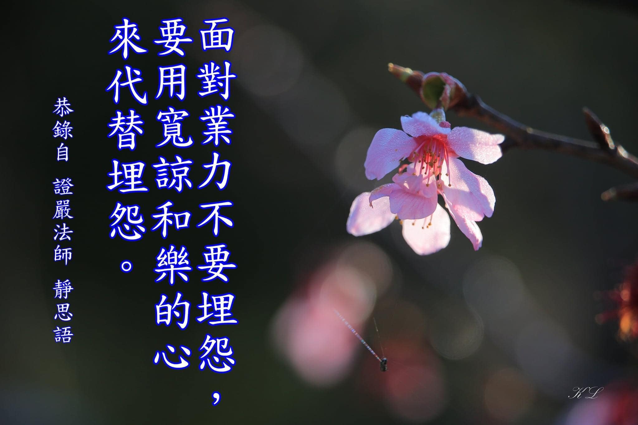 員林慈濟家族 - 面對業力不要埋怨， 要用寬諒和樂的心 來代替埋怨。 恭錄自 證嚴法師 靜思語