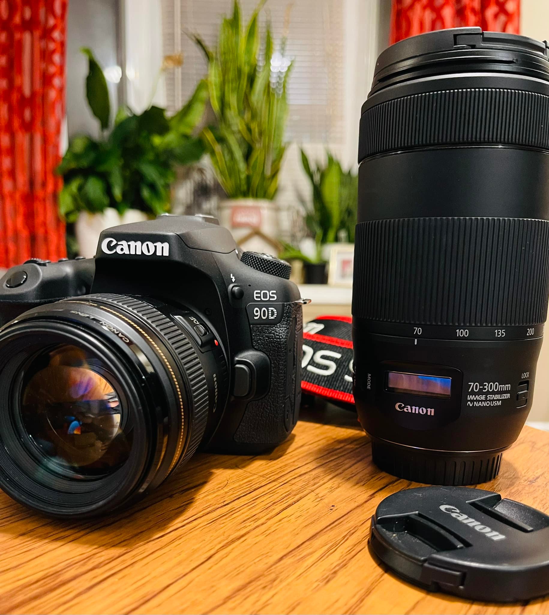 I got my new camera gear today! The Canon EOS R7 and Sigma 150 